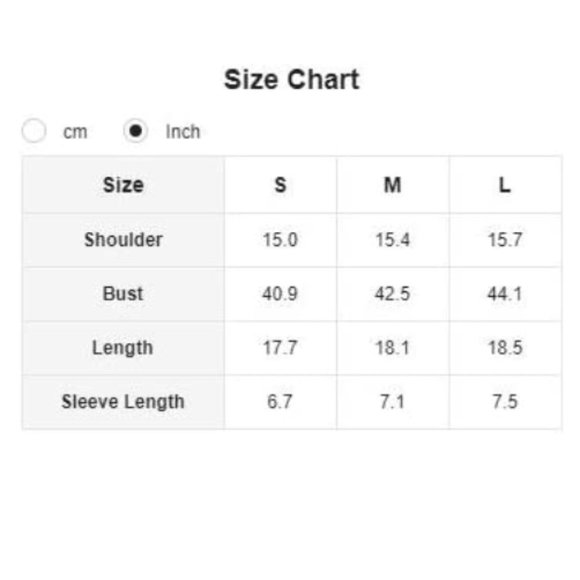 Black Floral Rose Embroidered Transparent Mesh Short Sleeve Crop Top - Picture 6 of 6